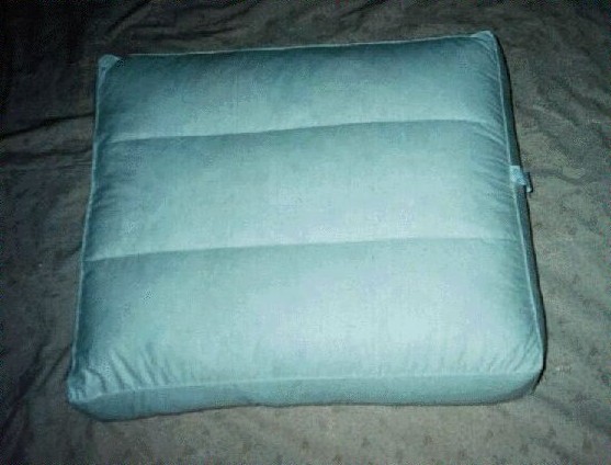 feather-filled back cushion.JPG